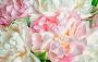 Papermoon Fotobehang Blooming Peonies - Thumbnail 1