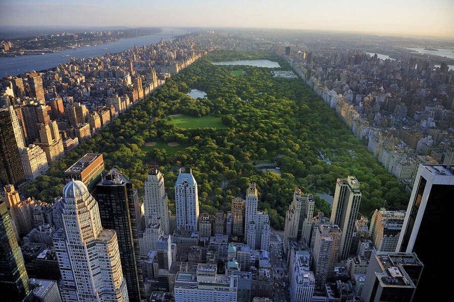 Papermoon Fotobehang Central park View