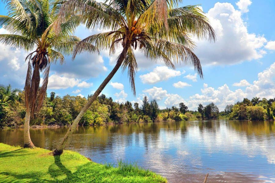 Papermoon Fotobehang Cubaans landschap Vliesbehang eersteklas digitale print