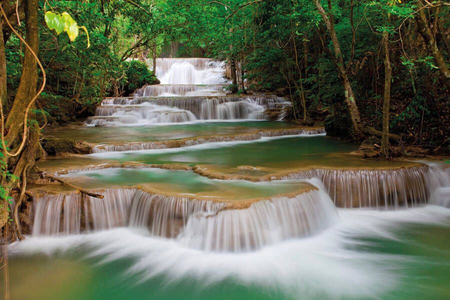 Papermoon Fotobehang Deep forest Waterfall