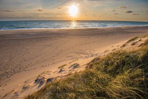 Papermoon Fotobehang Dunes beach Jutland