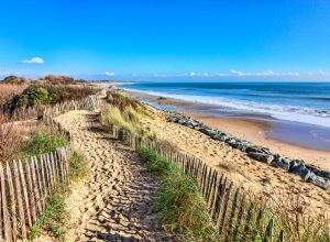 Papermoon Fotobehang Dunes in Atlantic
