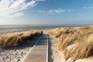 Papermoon Fotobehang Dunes in Langeoog