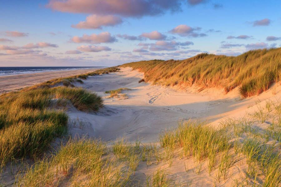 Papermoon Fotobehang Dunes Sunset