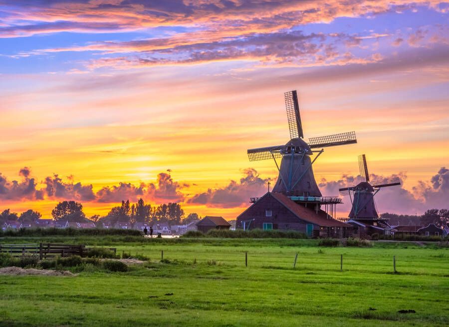 Papermoon Fotobehang Dutch Windmills