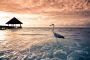 Papermoon Fotobehang Flamingo tropical beach Vliesbehang eersteklas digitale print - Thumbnail 2