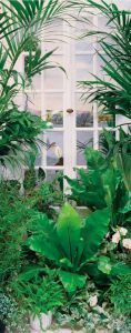 Papermoon Fotobehang Flower Window deurbehang Vlies 2 banen 90x 200 cm (2 stuks)