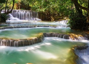 Papermoon Fotobehang Forest Waterfall Laos