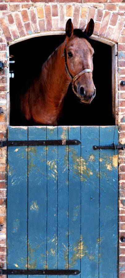 Papermoon Fotobehang Horse deurbehang Vlies 2 banen 90x 200 cm (2-delig)