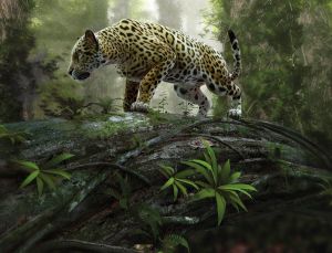 Papermoon Fotobehang Jaguar on the Prowl