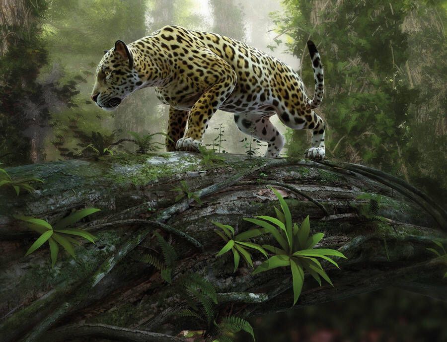 Papermoon Fotobehang Jaguar on the Prowl