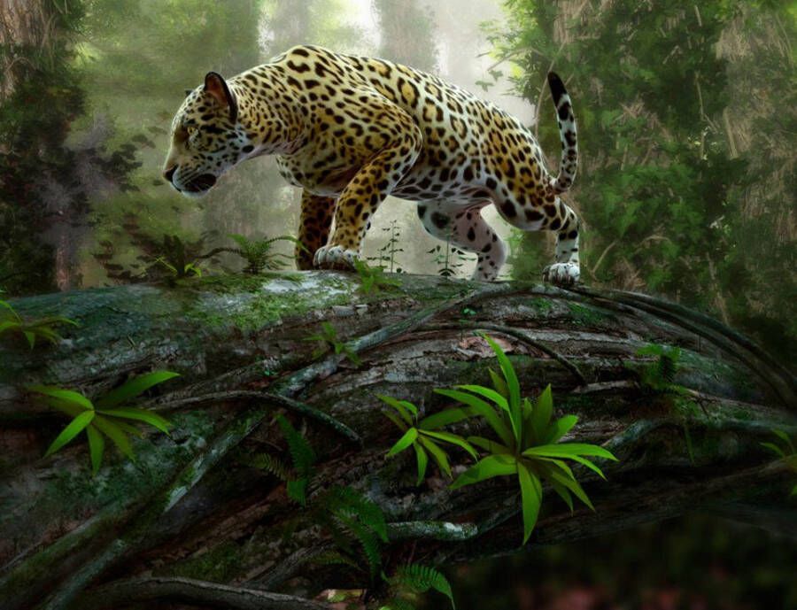 Papermoon Fotobehang Jaguar on the Prowl