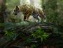 Papermoon Fotobehang Jaguar on the Prowl - Thumbnail 1