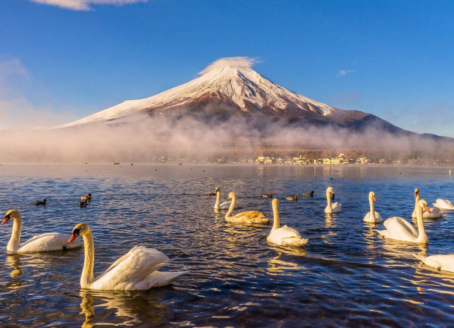 Papermoon Fotobehang Mount Fuji