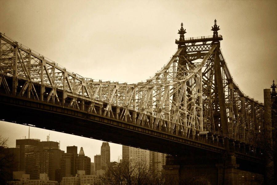Papermoon Fotobehang New Yorkse brug Vliesbehang eersteklas digitale print