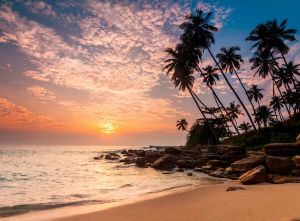 Papermoon Fotobehang Palm Beach Sri Lanka