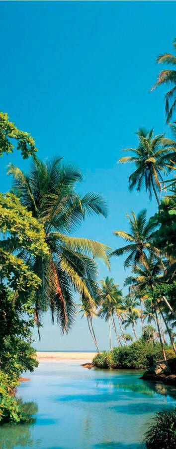 Papermoon Fotobehang Palm Logoon deurbehang Vlies 2 banen 90x 200 cm (2-delig)
