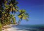Papermoon Fotobehang Palmenstrand - Thumbnail 1