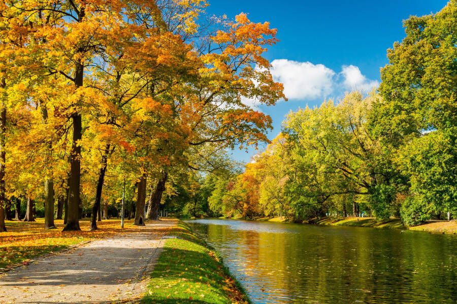 Papermoon Fotobehang River in Autumn park