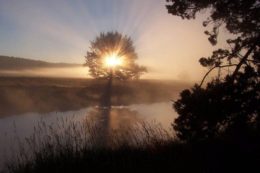 Papermoon Fotobehang Rivier zonsopkomst Vliesbehang eersteklas digitale print