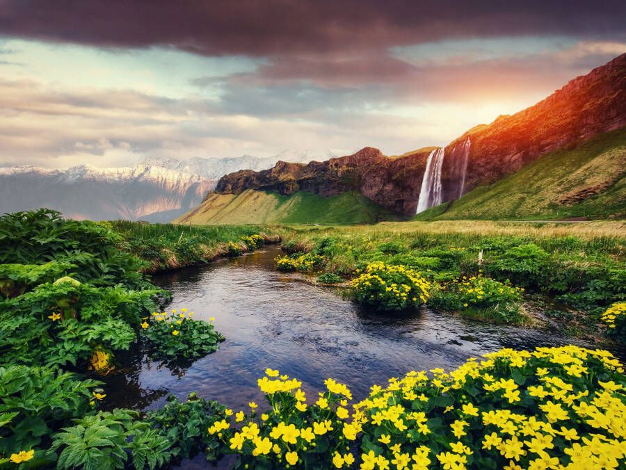 Papermoon Fotobehang Seljalandfoss waterfall Iceland