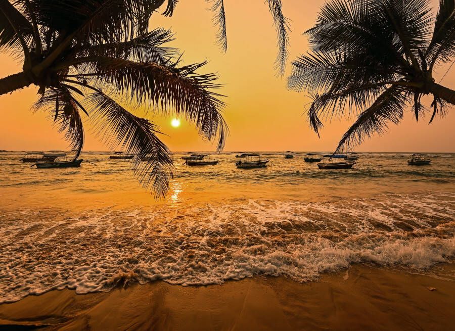 Papermoon Fotobehang Sri Lanka Palm Beach