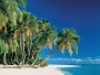 Papermoon Fotobehang Tropical Palms - Thumbnail 1