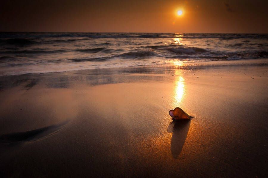 Papermoon Fotobehang Tropisch strand zonsondergang Vliesbehang eersteklas digitale print