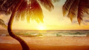 Papermoon Fotobehang Tropisch strand zonsopkomst Vliesbehang eersteklas digitale print