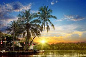 Papermoon Fotobehang Tropische palmen zonsopkomst Vliesbehang eersteklas digitale print