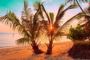 Papermoon Fotobehang Tropische zonsondergang strand Vliesbehang eersteklas digitale print