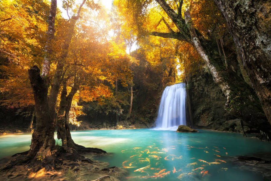 Papermoon Fotobehang Waterfall in Kanchanaburi Thailand