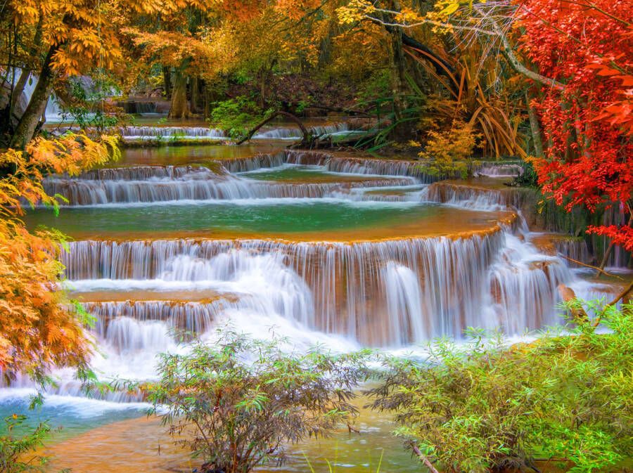 Papermoon Fotobehang Waterfall in Rain forest