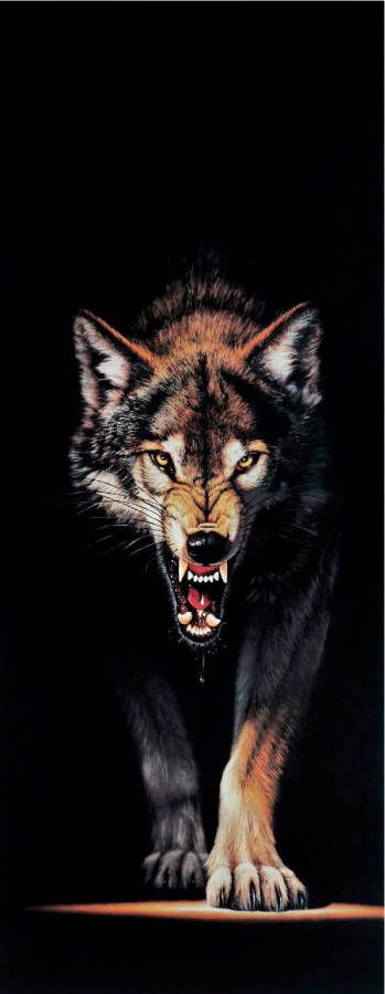Papermoon Fotobehang Wolf deurbehang Vlies 2 banen 90x 200 cm (2-delig)