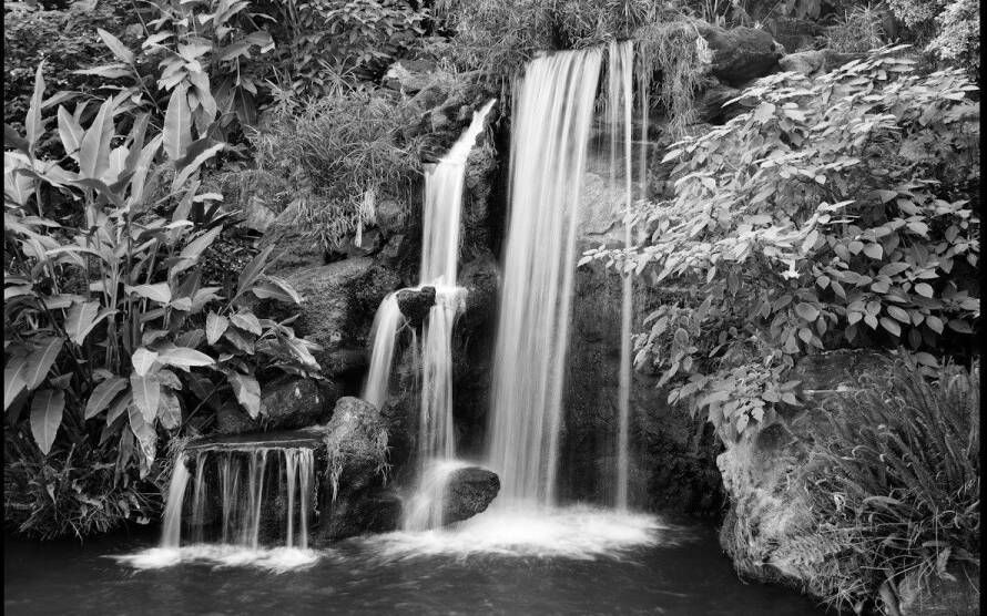 Papermoon Fotobehang Zwart-wit waterval Vliesbehang eersteklas digitale print