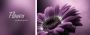 Queence Artprint op linnen Flower Premium canvasstof handgemaakt in Duitsland uitspraak 2-delige set (set) - Thumbnail 1