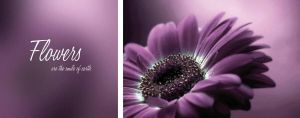 Queence Artprint op linnen Flower set van 2 (set)