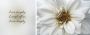 Queence Artprint op linnen Live Laugh & Love Premium canvasstof handgemaakt in Duitsland uitspraak 2-delige set (set) - Thumbnail 1
