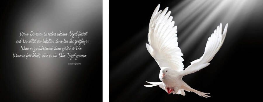 queence Artprint op linnen Vredesduif Premium canvasstof handgemaakt in Duitsland citaat 2-delige set (set)