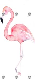 Queence Kapstok Flamingo met 6 haken 50 x 120 cm