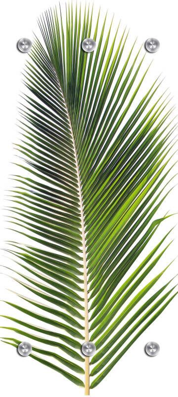 Queence Kapstok Palm met 6 haken 50 x 120 cm