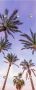 Queence Kapstok Palmen en hemel met 6 haken 50 x 120 cm - Thumbnail 1