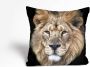 Queence Sierkussen FRANK Kussenhoes leeuw dierenmotief wild dier majestueus natuurmotief krachtig (1 stuk) - Thumbnail 1