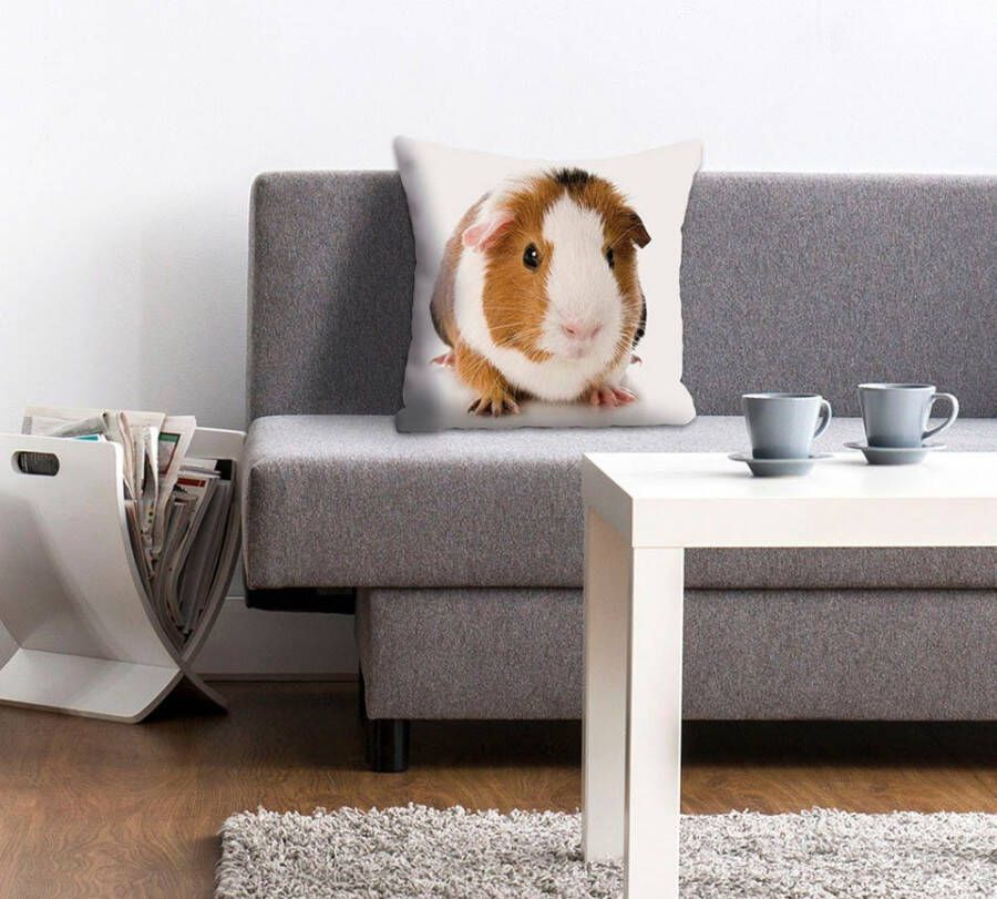 Queence Sierkussen Malte Kussenhoes cavia dierenmotief schattig huisdier speels (1 stuk)