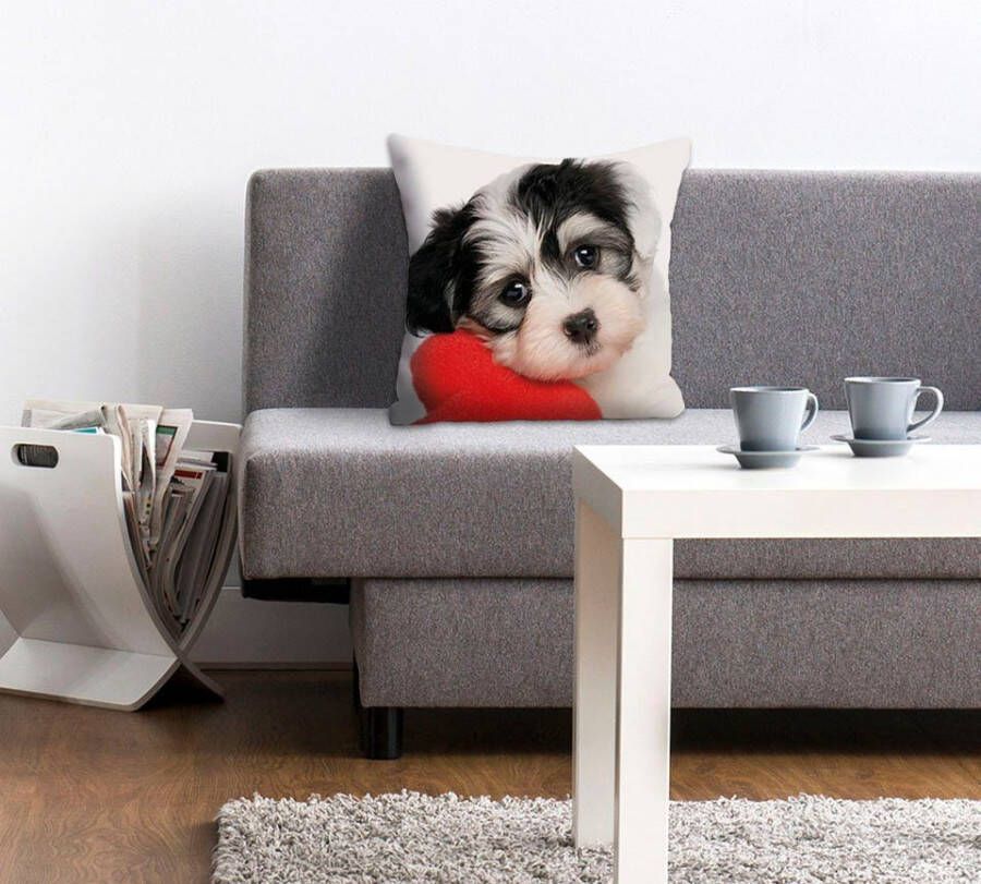Queence Sierkussen Vanessa Kussenhoes schattige kleine hond schattig dierenmotief charmant vriendelijk (1 stuk)
