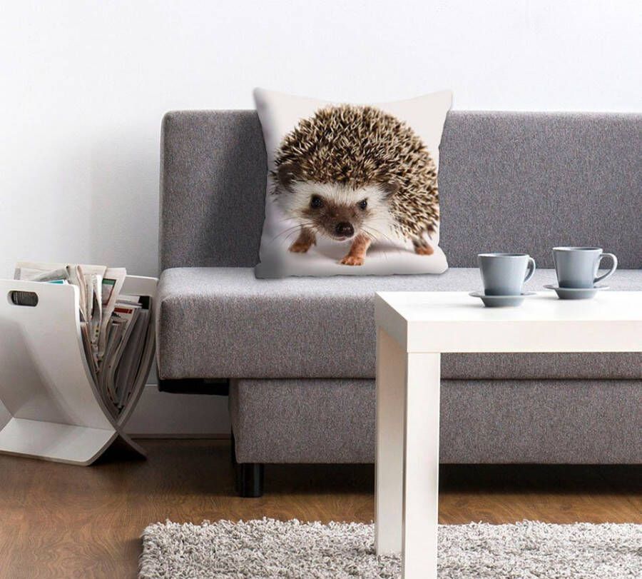 Queence Sierkussen Veit Kussenhoes egels schattig dierenmotief schattig natuurmotief speels (1 stuk)