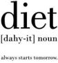 Queence Sierobject voor aan de wand Diet Stalen bord blikken bord spreuk grappig wanddecoratie retro 20x30cm - Thumbnail 1
