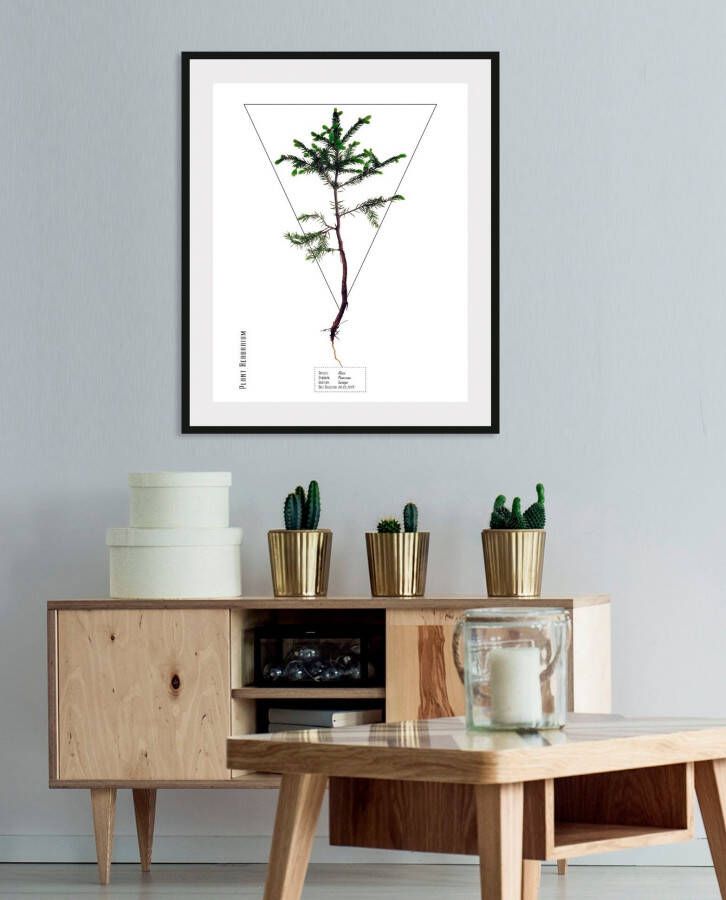 queence Wanddecoratie Abies (1 stuk)