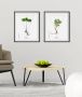 Queence Wanddecoratie Kruiden HD premium posterdruk incl. houten lijst (1 stuk) - Thumbnail 1