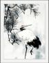 Queence Wanddecoratie Kraanvogel in 3 maten ingelijst - Thumbnail 1